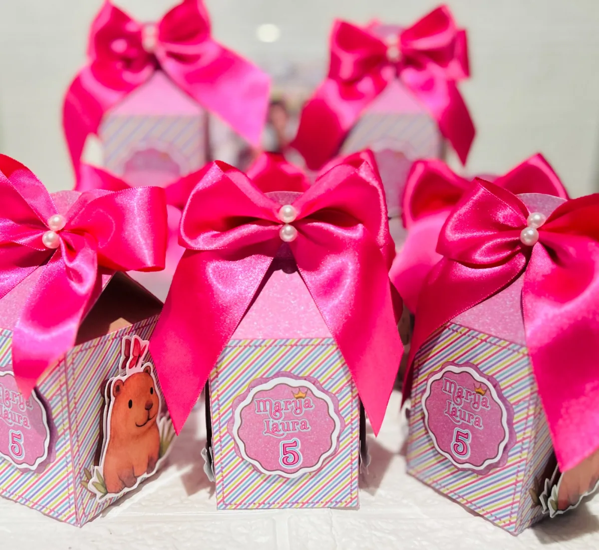 Kit caixas Personalizadas / festa infantil/ capivara